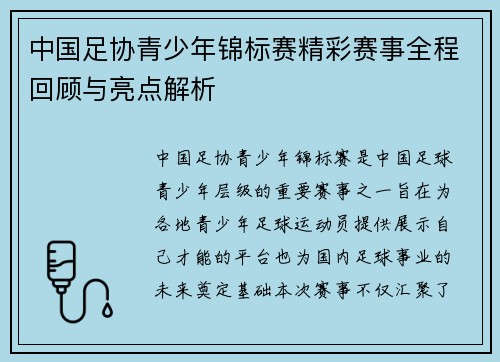 中国足协青少年锦标赛精彩赛事全程回顾与亮点解析